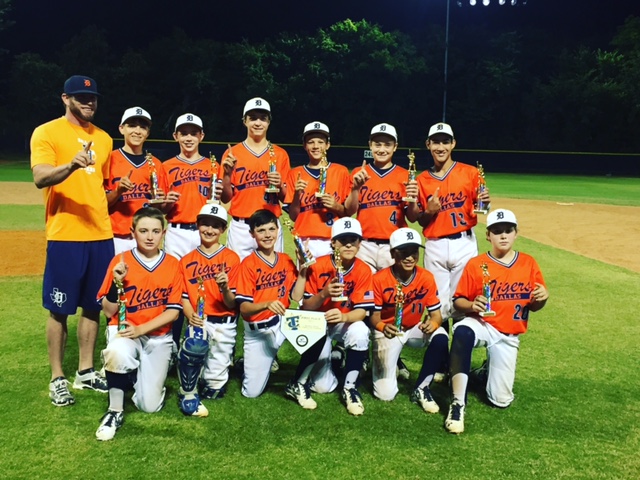 Dallas Tiger teams